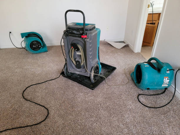 Best Water damage restoration near me  in Brunswick, GA