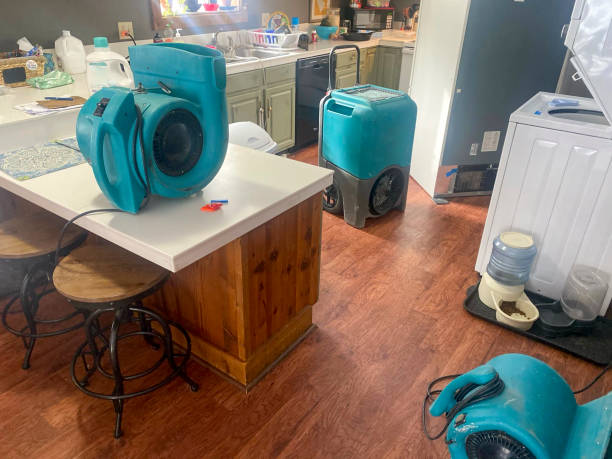 Best Water damage cleanup near me  in Brunswick, GA