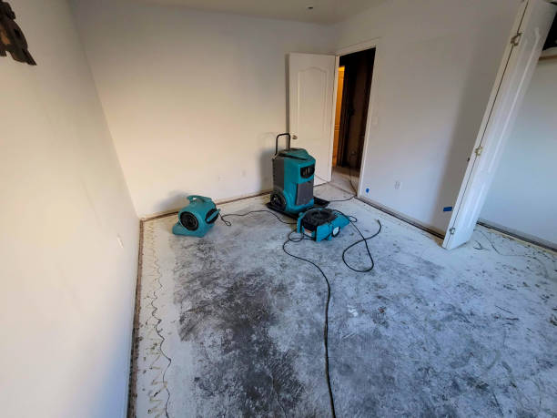 Best 24/7 water damage repair  in Brunswick, GA