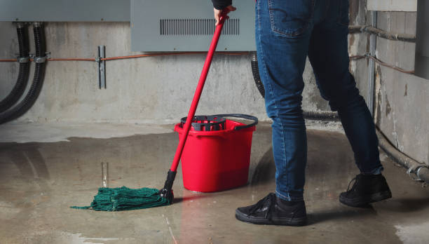 Best Sewage cleanup and water damage restoration  in Brunswick, GA
