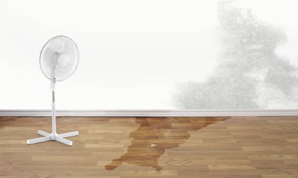 24/7 water damage repair in Brunswick, GA