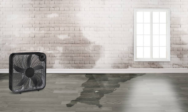  Brunswick, GA Water damage restoration Pros