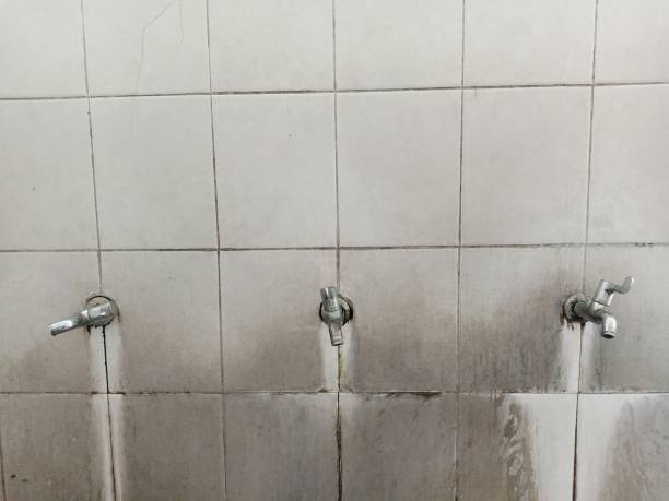 Best Commercial water damage restoration  in Brunswick, GA