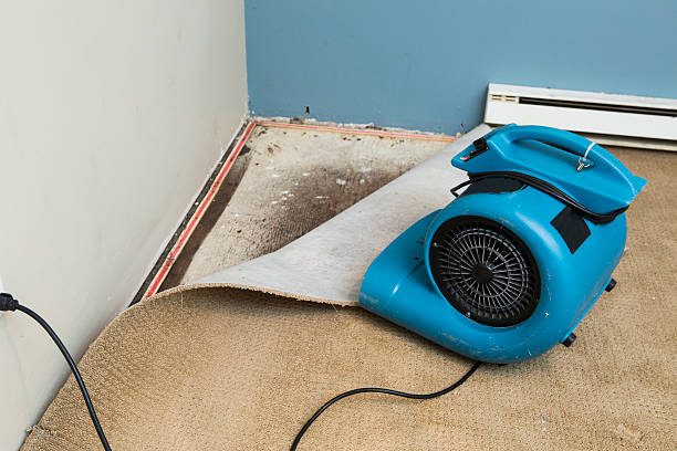 Best Water damage restoration near me  in Brunswick, GA
